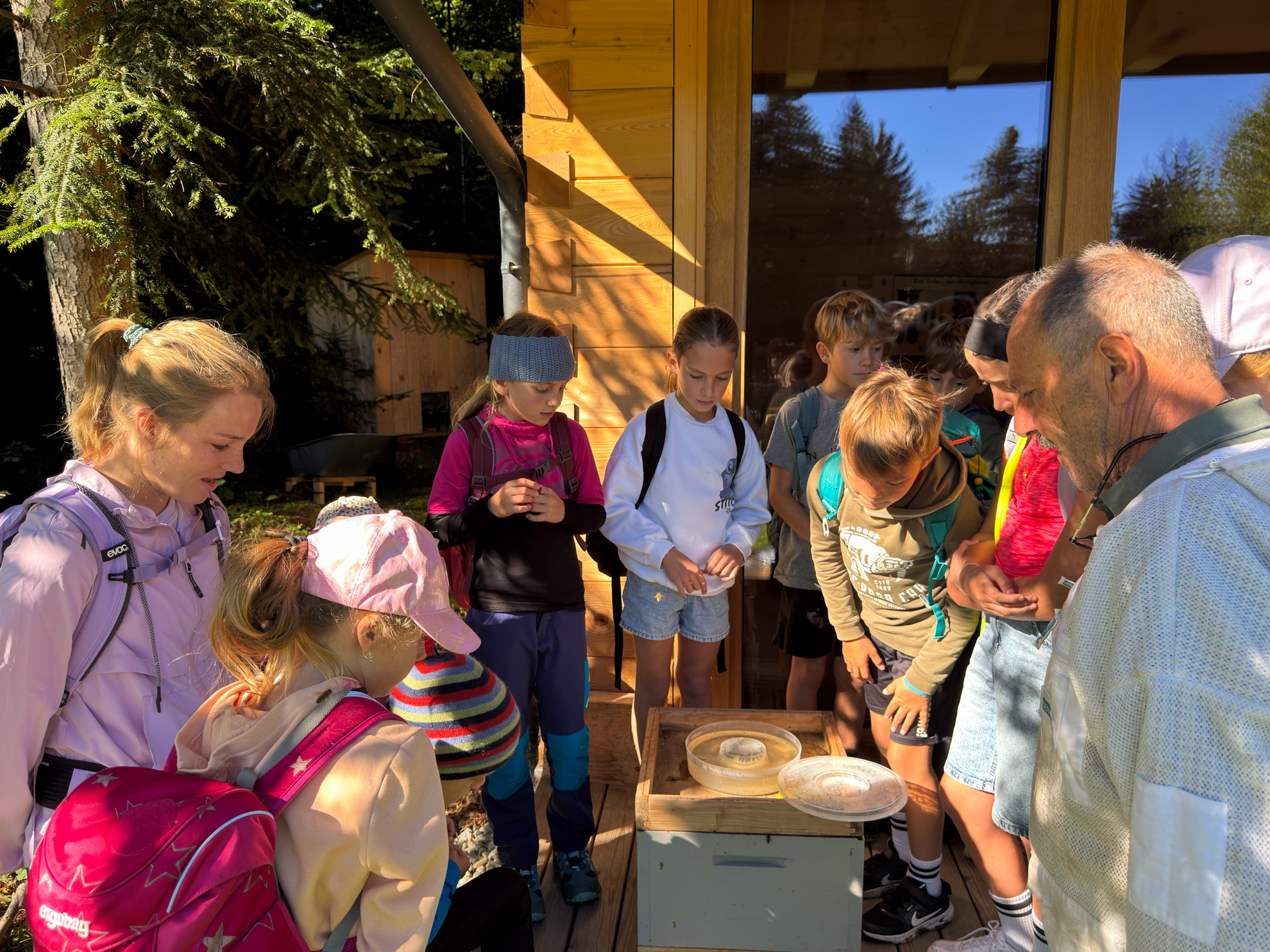 Kinder und ein Erwachsener stehen im Freien um einen kleinen Tisch oder Schrank vor einem Holzgebäude. Die Kinder tragen Outdoor-Kleidung und Rucksäcke, was auf einen Ausflug oder eine naturpädagogische Aktivität hinweist. Auf dem Tisch liegen zwei runde Tabletts, eines davon enthält vermutlich eine Wabe oder ein imkerbezogenes Objekt. Der Erwachsene erklärt oder demonstriert etwas, vermutlich zum Thema Bienen oder Natur. Die Umgebung ist bewaldet und sonnig, mit natürlichem Licht und Bäumen im Hintergrund.