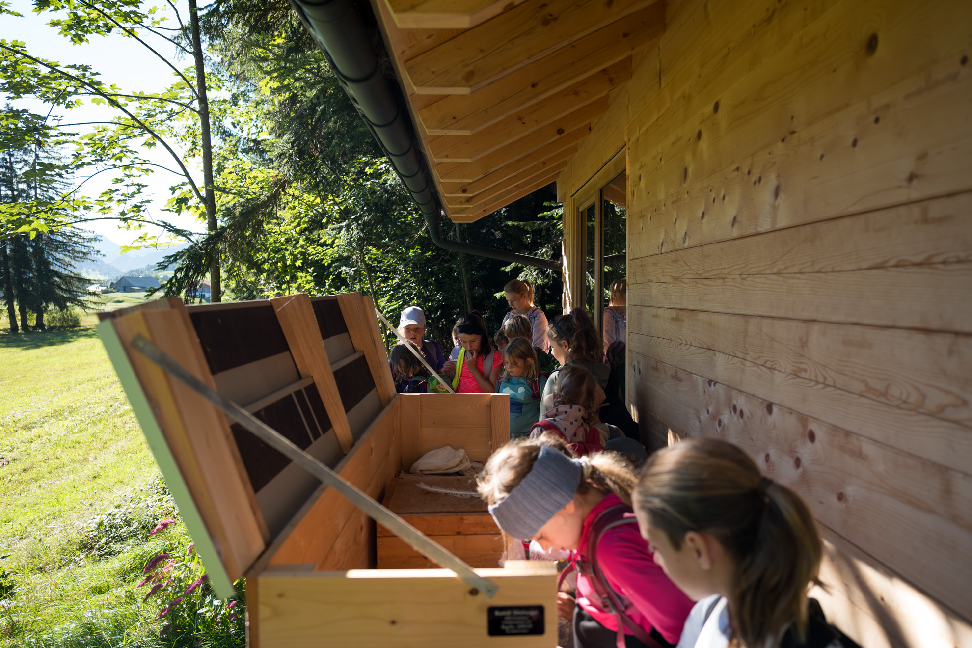 Eine Gruppe von Kindern steht um eine große Holzkiste mit geöffnetem Deckel, die sich neben einer Holzhütte in einem bewaldeten Gebiet befindet. Die Kinder nehmen offenbar an einer Outdoor-Aktivität teil und betrachten neugierig den Inhalt der Kiste. Die Umgebung ist sonnig und grün, mit Bäumen und Pflanzen, was auf eine natürliche Lernumgebung hinweist. Die Holzkiste enthält Fächer und ein kleines Schild, was auf eine organisierte Präsentation oder Lagerung hindeutet.